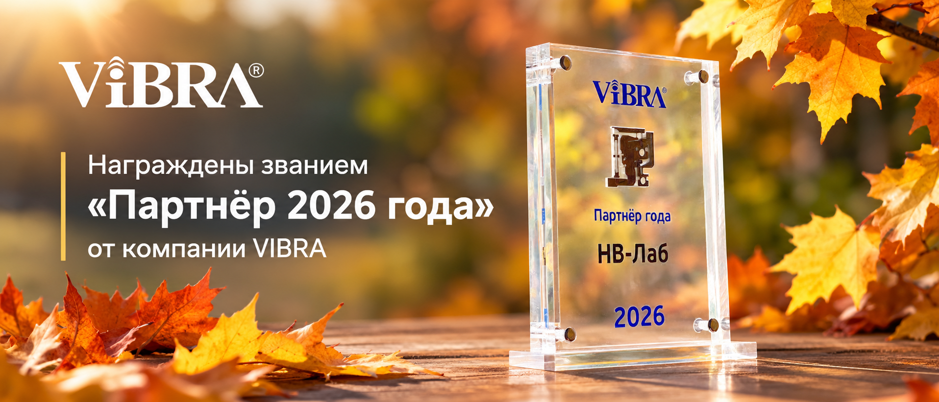 НВ-Лаб &mdash; &laquo;Партнёр 2026 года&raquo; ViBRA